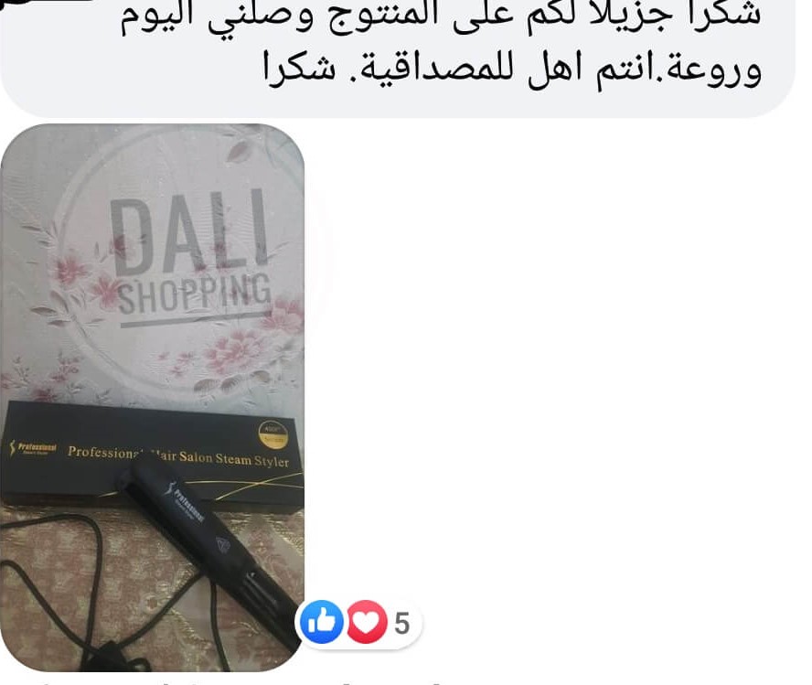 Professional hair salon steam styler