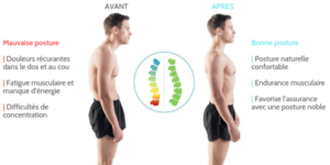 ceinture peal doctor مشد الظهر