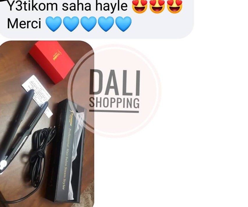 Professional hair salon steam styler