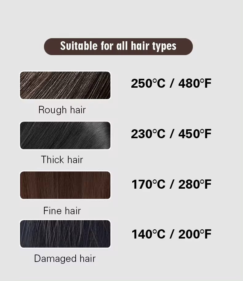 LISSEUR Professional-MC-5528, Assiettes En Céramique, Température 480