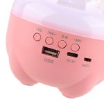 Lumière dansante LED LT-760 avec haut-parleur Bluetooth