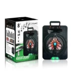 TTD-A8 – Baf Bluetooth Karaoké 8" avec éclairage LED RGB et batterie 4400 mAh