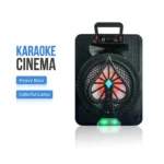 TTD-A8 – Baf Bluetooth Karaoké 8" avec éclairage LED RGB et batterie 4400 mAh