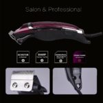 DSP 90033 – Tondeuse Professionnel Électrique avec Sabots 3-12 mm 12 W