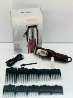 Rozia HQ323 – Tondeuse Professionnelle Filaire 10W